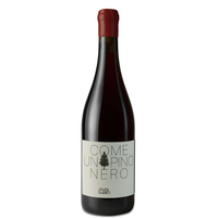 Le Vigne di San Pietro - Verona Rosso Igt Come Un Pino Nero 2018