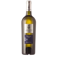 Leone de Castris - Salento Malvasia Bianca Igt Donna Lisa 2019