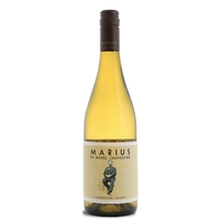M. Chapoutier - Pays Doc Blanc “marius” 2021
