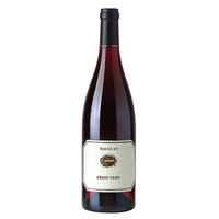 Maculan - Breganze Pinot Nero Doc 2022