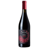 Michele Chiarlo - Barbera Dasti Docg Palás 2022