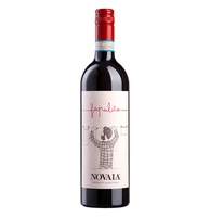 Novaia - Valpolicella Classico Doc Fapulito 2020