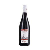 Patrice Colin - Coteaux Du Vendômois Rouge Pierre François 2020