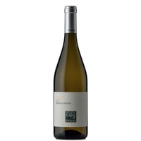 Pighin - Collio Ribolla Gialla Doc 2022
