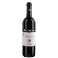 Pio Cesare - Dolcetto D Alba Doc 2021