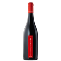 Roccafiore - Umbria Rosso Igt Prova D Autore 2019