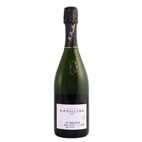 Roger Pouillon et Fils - Champagne Brut Nature Premier Cru Les Blanchiens 2017