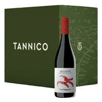 San Patrignano - Rubicone Rosso Igt Aulente Rosso 2020