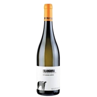 San Salvatore 1988 - Campania Falanghina Igp 2021