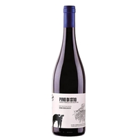 San Salvatore 1988 - Paestum Rosso Igp Pino Di Stio 2020
