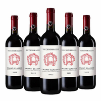 Selezione Castello Vicchiomaggio - Chianti Classico Docg 2022