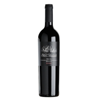 Tenuta Olim Bauda - Nizza Riserva Docg Bauda 2017
