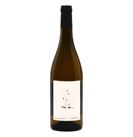 Tenuta Saiano - Rubicone Bianco Igt “trebbiamo?” 2021