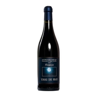 Torre dei Beati - Montepulciano Dabruzzo Doc “cocciapazza” 2020