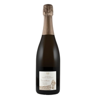 Vadin-Plateau - Champagne Brut Nature 1er Cru Terre Des Moines 2017 Vadin