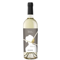 Velenosi - Marche Chardonnay Igt Villa Angela 2020