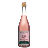 Venturini Baldini - Emilia Lambrusco Frizzante Igt Montelocco Rosé