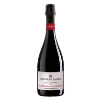 Venturini Baldini - Reggiano Lambrusco Frizzante Secco Dop Marchese Manodori