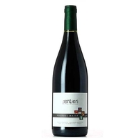 Vigneti Massa - Vino Rosso Sentieri Nelle Terre Dipinte Da Giuseppe Pellizza