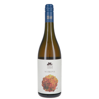 Villa Venti - Rubicone Bianco Igt Scirone 2022
