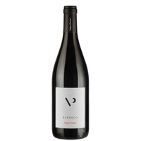 Volpe Pasini - Friuli Colli Orientali Refosco Dal Peduncolo Rosso Doc 2020