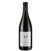 Volpe Pasini - Friuli Colli Orientali Refosco Dal Peduncolo Rosso Doc 2022