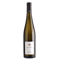 Weingut Odinstal - Riesling 120 N. N. 2021