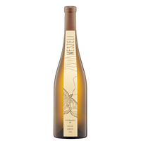 Weingut Weszeli - Kamptal Riesling 1 Ötw Dac Steinmassl 2017