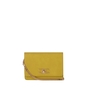 ELISABETTA FRANCHI CURRY CROSSBODY BAG