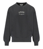 GANNI ISOLI GRAUES SWEATSHIRT