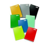 Quaderno Maxi Monocromo 100gr 0C 10pz