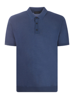 Polo Roberto Collina