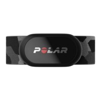 Polar H10,  Stone Camo