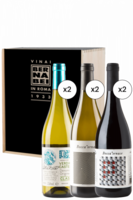 2 Verdicchio Lo Storico 2020 + 2 Pecorino Boccafornace 2020 + 2 Rosso Piceno Boccafornace 2020 (Cassetta in Legno)