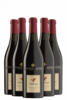 6 Bottiglie Colli Di Scandiano E Canossa DOC Lambrusco Amabile Codarossa Albinea Canali