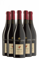 6 Bottiglie Colli Di Scandiano E Canossa DOC Lambrusco Amabile Codarossa Albinea Canali