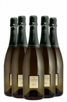 6 Bottiglie Franciacorta Brut DOCG Ferghettina