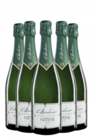6 Bottiglie Franciacorta DOCG Nitens Brut Le Marchesine