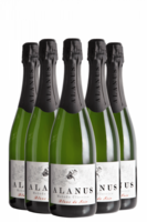 6 Bottiglie Metodo Classico Alanus Brut Millesimato Blanc De Noir 2020