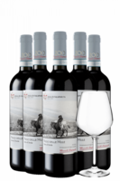 6 Bottiglie Nero D
