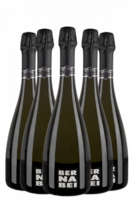 6 Bottiglie Prosecco DOC Treviso Millesimato 2023 Bernabei