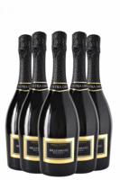 6 Bottiglie Spumante Millesimato Extra Dry 2022 Stefano Bottega