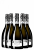 6 Bottiglie Tener Brut Banfi