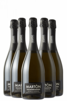 6 Bottiglie Valdobbiadene Prosecco Superiore DOCG Extra Dry Martòn