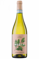 Abruzzo DOC Passerina Neola 2023 iLauri