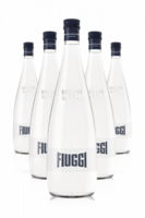 Acqua Fiuggi Frizzante 25cl Cassa Da 24 Bottiglie In Vetro