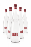 Acqua Fiuggi Leggermente Frizzante 75cl Cassa Da 12 Bottiglie In Vetro
