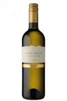 Alto Adige DOC Pinot Grigio 2023 Elena Walch