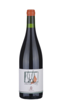 Cabernet Franc 2019 Ampeleia