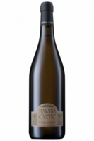 Chardonnay Marina Cvetic Masciarelli 2022